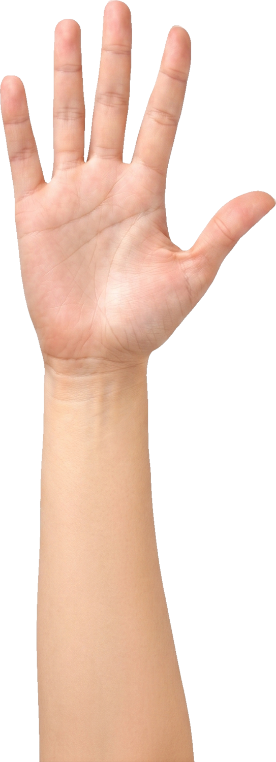 Scanning your palm